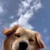 Molly - @mollyappelgren0 - TikTok