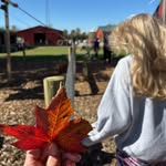 molly ballard - @molly_b1006 - Instagram