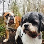 Molly And Basil - @bas.and.moll - Instagram
