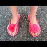 Molly Basil - @sperrysam01 - Instagram