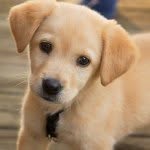 Molly Basil - @monkey_basil - Instagram