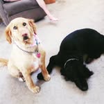 Molly.Basil - @molly.basil - Instagram