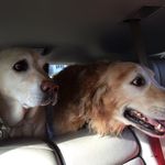 Scooby Beaudrie& Molly Baumann - @scoobyandmolly - Instagram