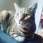 Molly Beaton - @mollymuddles - Instagram