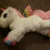 mollybelcher - @boochick7596104 - TikTok