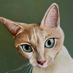 Molly Bingham Art - @mollybinghamstudio - Instagram