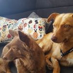 Molly Bittner - @bittner.molly - Instagram