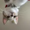 Molly - @mollyblank4 - TikTok