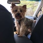 Molly Bowen - @_m_o_ll_y___ - Instagram