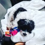 Molly Branson - @mollys_adventurous_life - Instagram
