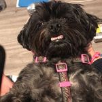 Molly - @molly_mae_brant - Instagram