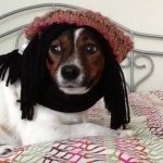Molly burger - @molly_wiggly_burger - Instagram