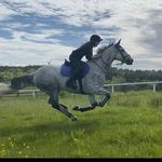Molly Burnside - @molls.eventing - Instagram