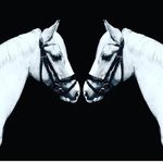 Molly Callaghan - @callaghan574 - Instagram