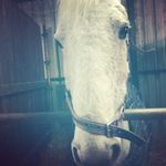 Molly Callaghan - @mollycall2007 - Instagram