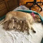 Molly Callahan - @mama9molly - Instagram