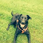 Molly canning - Facebook