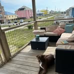 Molly Cantrell - Facebook