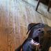 Molly Capps - Facebook