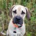 Molly Clark Caron - Facebook