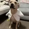 Molly Cassady - @molly.cassady - TikTok