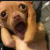 MollyCass09 - @mollycass09 - TikTok