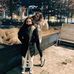 Molly Cataldo - Facebook