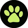 Ladychat1 - @mollycave2006 - TikTok