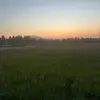 Molly Caves - @molly.caves8 - TikTok