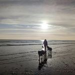 Molly Charles - @awesome_noodle - Instagram