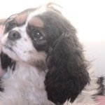 Molly Cheney - @molly_4551 - Instagram