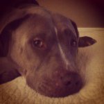 Molly Cheney - @molly_bo_golly - Instagram