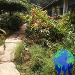 Molly Cherian - @molly.cherian.79 - Instagram