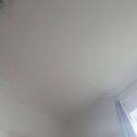 Molly Clements - @mollydon18 - Instagram