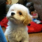 Molly Clements - @mclem_1234 - Instagram