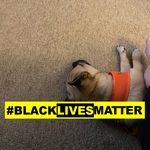 Molly Cline - @mollyhatehater45 - Instagram