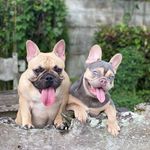 Molly and Cloud - @molly_and_cloud - Instagram