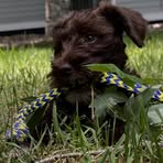 Molly Cloud - Facebook
