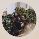 Molly Molibdeno - @molly.cloud_ - Instagram