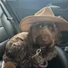Molly Constantine - @molly.constantine4 - TikTok