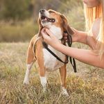 Molly Cope - @p.wee.schuerman - Instagram