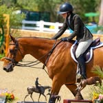 Molly Copeland - @mollycopelandeq - Instagram