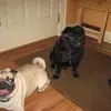 mollyannecope760 - @mollyannecope760 - TikTok