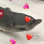 molly CORNELIUS emily becky - @moistveganchowder - Instagram