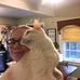 Molly Katherine Cornett - Facebook