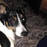 Molly Coyle - @mollycoyle2020 - Instagram