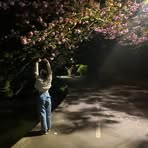 Molly Craig - Facebook