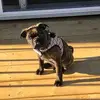 mollycraig773 - @mollycraig773 - TikTok