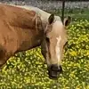 Molly Crowder830 - @mollycrowder830 - TikTok