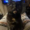 Molly Crowder - @molly.crowder0 - TikTok